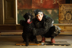 NDM02251-Улучшено-Ум. шума